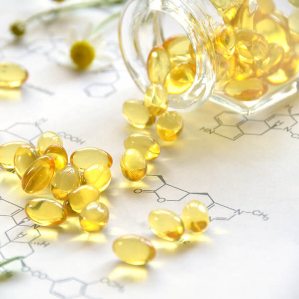 Alpha Brain UK: What is the Best Alternative?