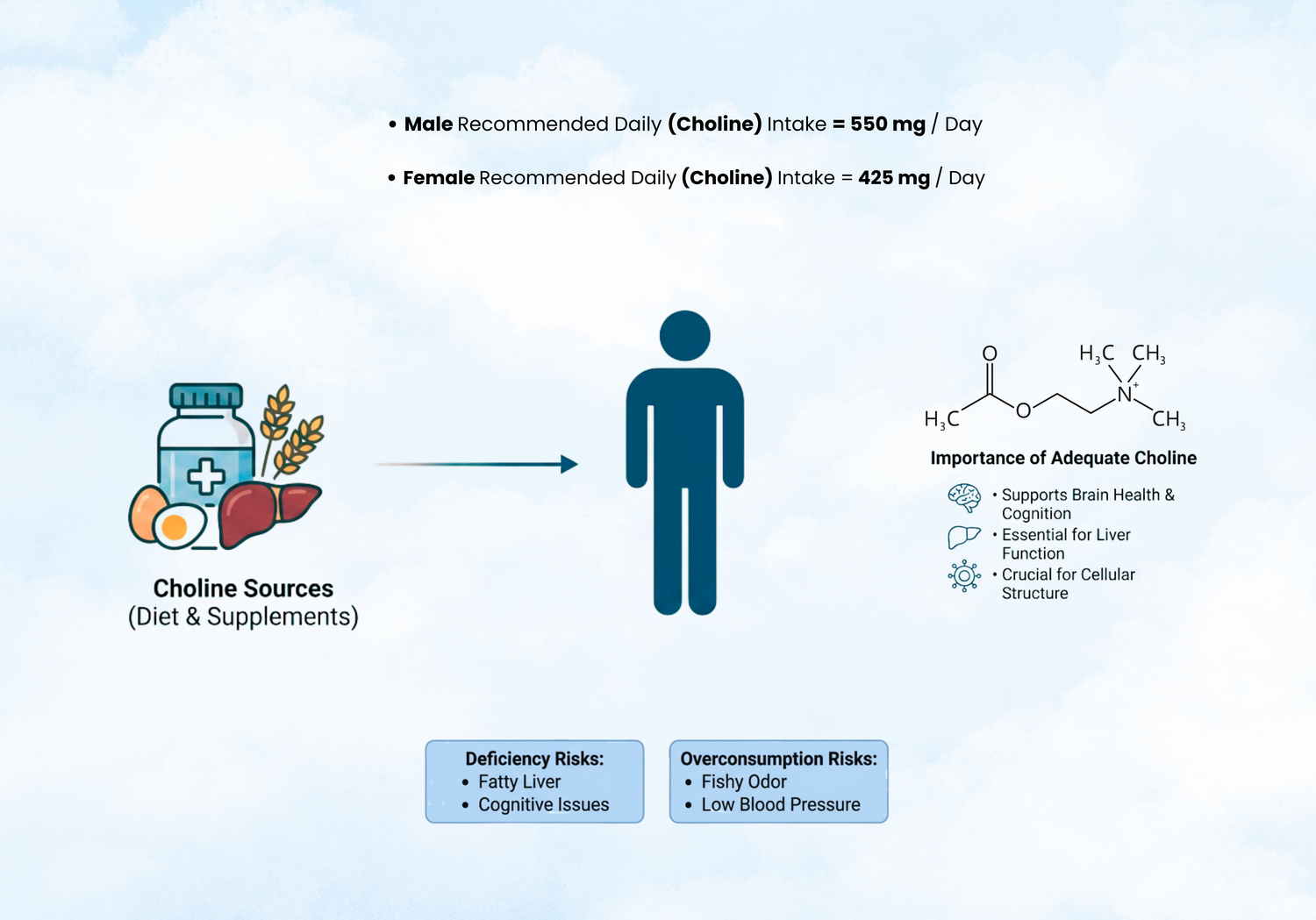 What Is Choline & How to Pick the Best Supplement Form