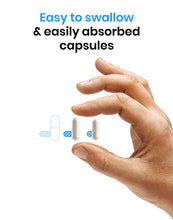 Load image into Gallery viewer, Brainzyme® FOCUS™ Exam Prep Nutrition Bundle
